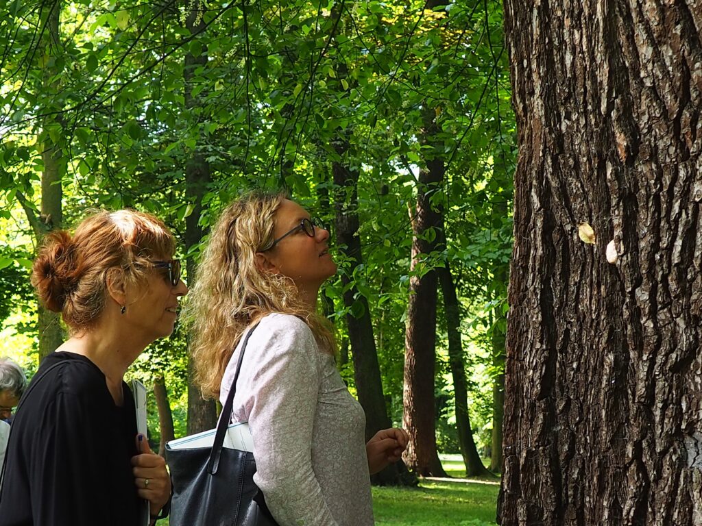 Dwie kobiety przyglądają się z bliska korze drzewa. W tle ogród łazienkowski.